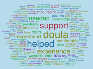 Meet the Doulas