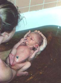postpartum herbal healing bath