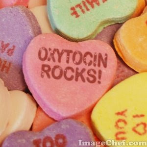 oxytocin is the love hormones