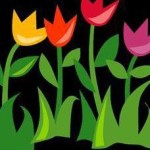 tulips2